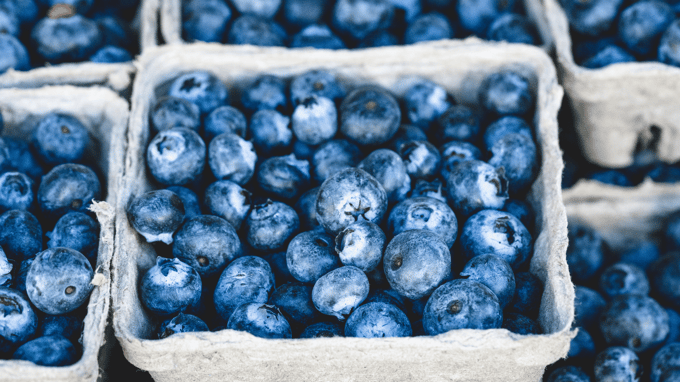 Close up of pints of blueberries